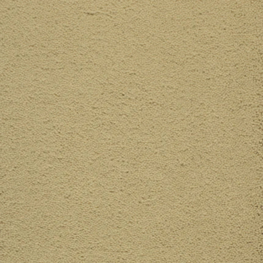 Dolce Family Friendly Carpet in Granola features a beige, textured surface with a slightly rough, grainy look—ideal for high-traffic areas where both durability and style are important.