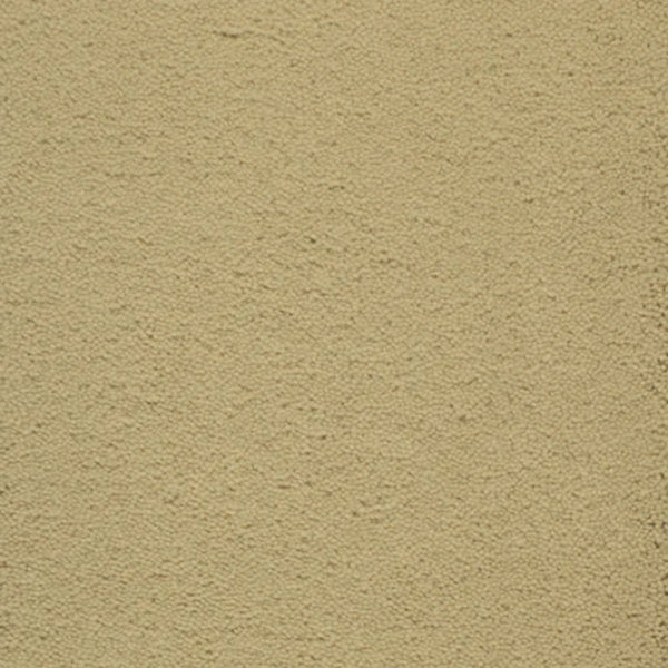 Dolce Family Friendly Carpet in Granola features a beige, textured surface with a slightly rough, grainy look—ideal for high-traffic areas where both durability and style are important.