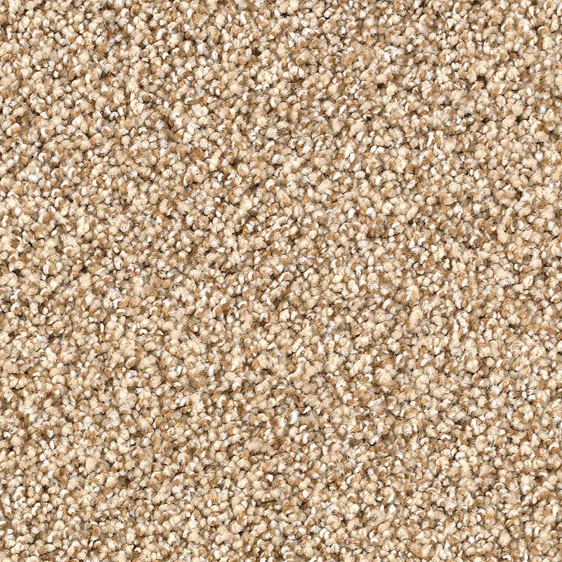 Close-up of Shaded Escape Family Friendly Carpet in Granola, featuring tightly looped, textured beige fibers with a blend of light and medium brown tones for a family-friendly look.