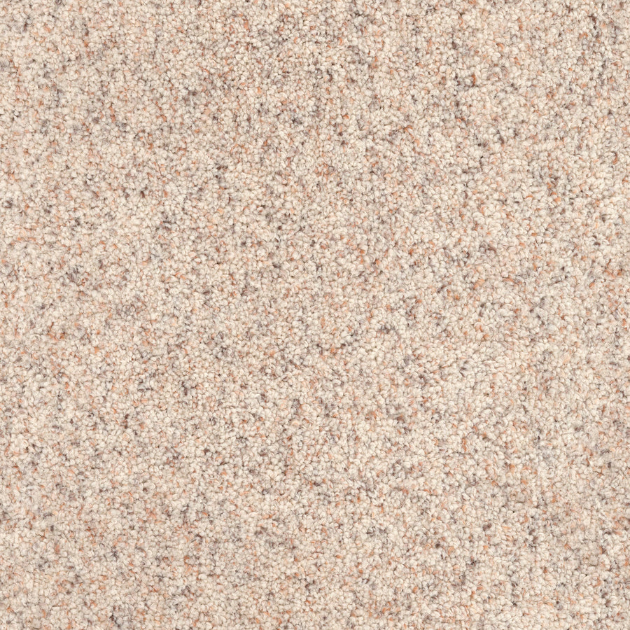 Close-up of Great Dane Pet Friendly Carpet in beige, featuring a soft, textured plush surface with a blend of light and darker fibers for an inviting, speckled look that's perfect for homes with pets.