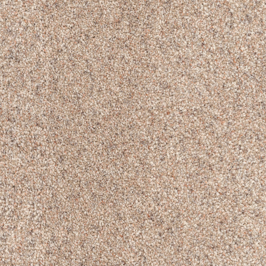 Great Dane Pet Friendly Carpet features tightly woven, beige fibers in light tan and cream tones for a soft, uniform, and durable surface—perfect for busy homes seeking a neutral look.