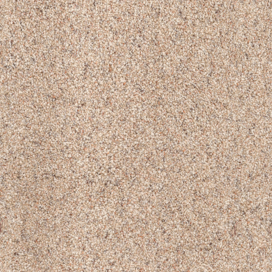Close-up of Great Dane Pet Friendly Carpet in beige, featuring textured plush fibers in light and medium tones for a soft, neutral, and pet-friendly look.