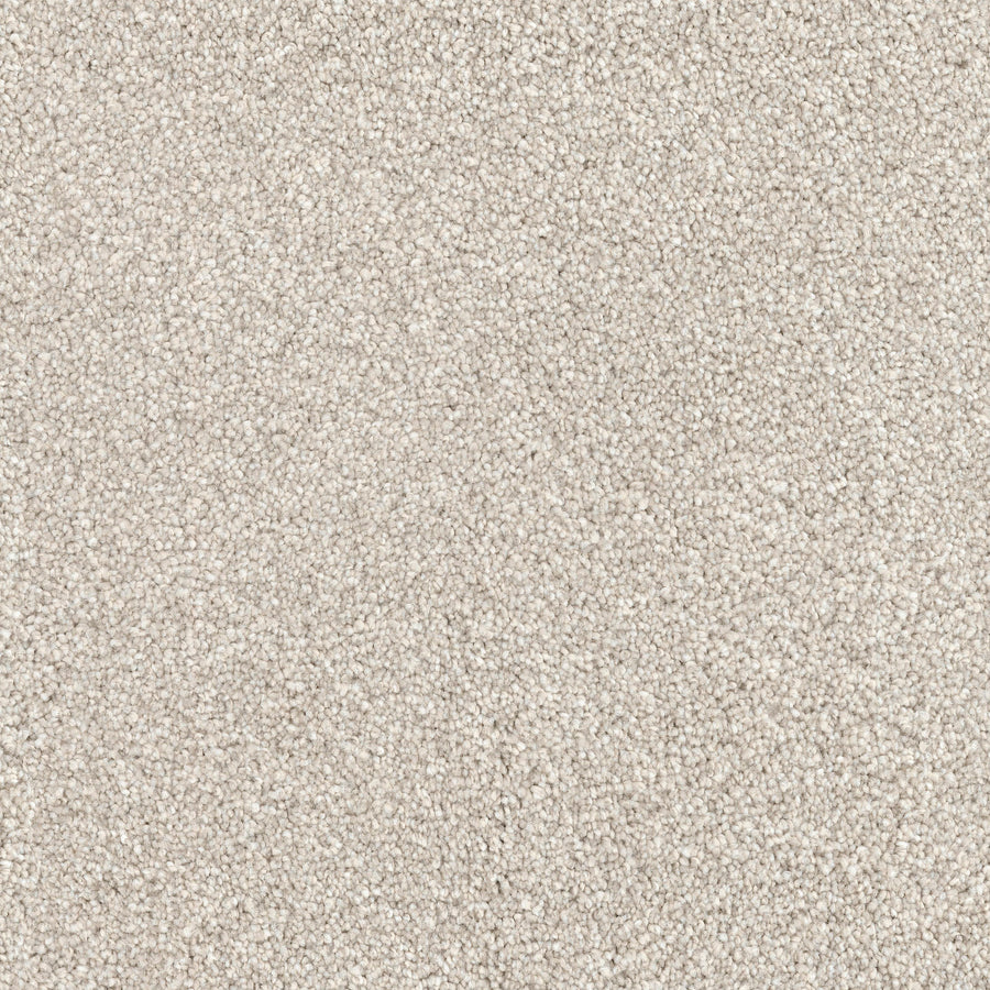 Close-up view of Great Dane Pet Friendly Carpet in light beige, featuring a soft, plush texture and tightly-packed fibers for a uniform, cozy surface that’s both inviting and perfect for pets.