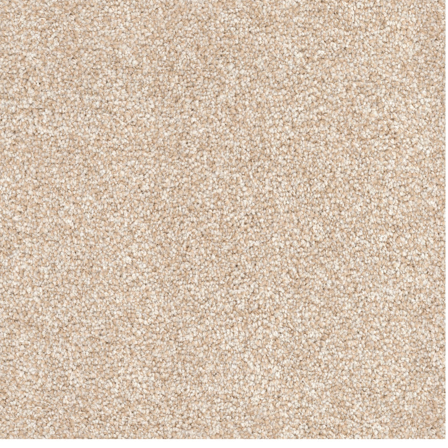 Close-up view of the Great Dane Pet Friendly Carpet in beige. Its textured, looped pile surface and soft fibers create a uniform look, offering a warm, neutral tone that's ideal for any home with pets.