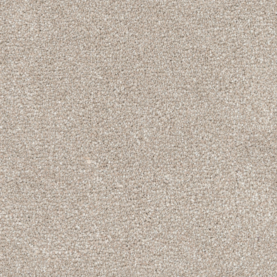Close-up view of Great Dane Pet Friendly Carpet in beige, featuring tightly packed, looped fibers for a soft, uniform surface that’s durable and ideal for pets.