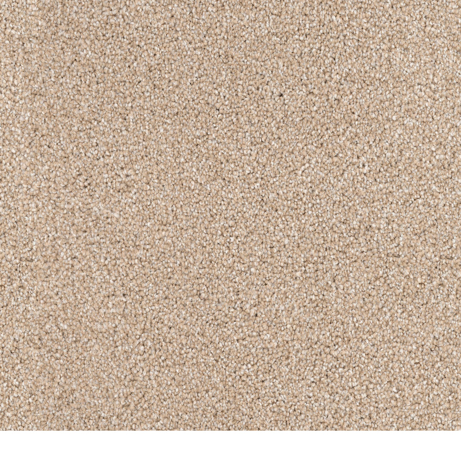 Close-up of Great Dane Pet Friendly Carpet in beige, showcasing its dense, even texture. The soft, plush surface features small loops and fibers—making it a durable and comfortable choice for any home with pets.