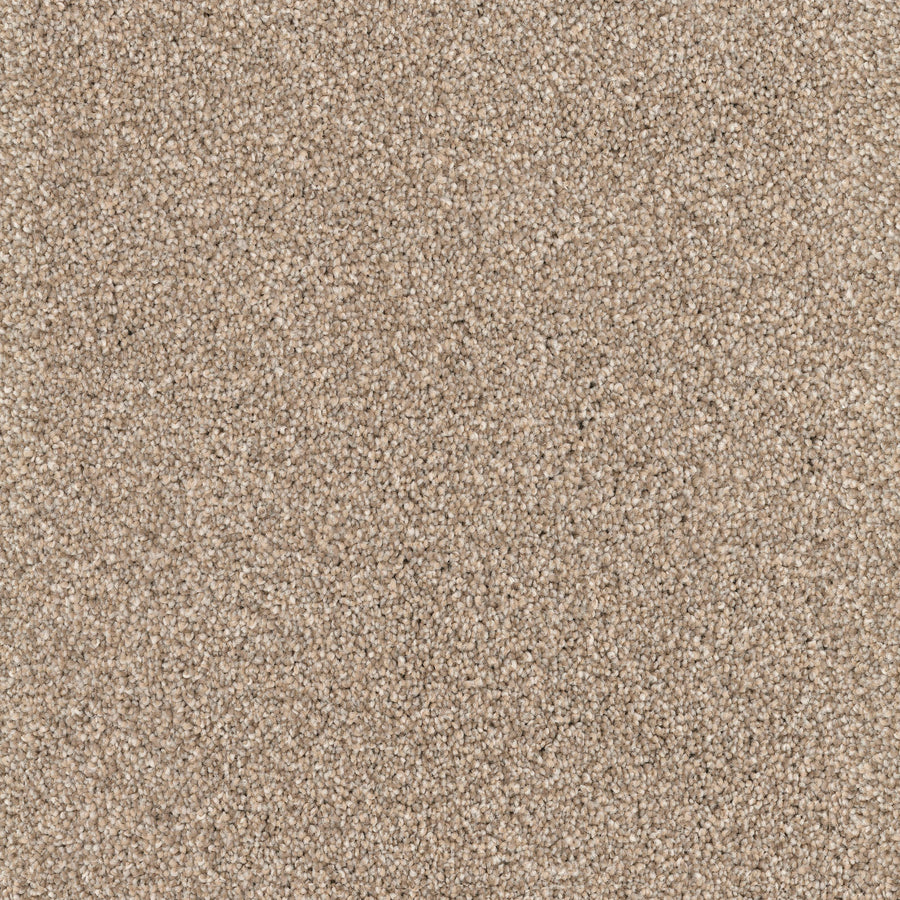 Close-up view of Great Dane Pet Friendly Carpet in beige, showing its looped pile pattern, subtle shade variations, and dense, soft fibers—this durable carpet is designed to be both plush and pet friendly.