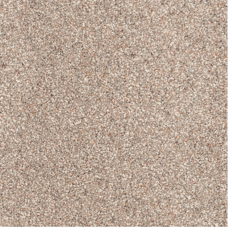 Close-up of Great Dane Pet Friendly Carpet with a beige, looped pile texture. Densely packed soft fibers in light brown and cream tones deliver comfort, durability, and a pet-friendly surface.