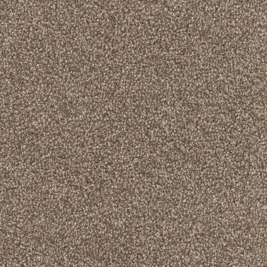 Close-up of Great Dane Pet Friendly Carpet, showcasing tightly woven fibers for a soft, uniform surface. The dense texture blends shades of brown and beige, making it ideal for pets.