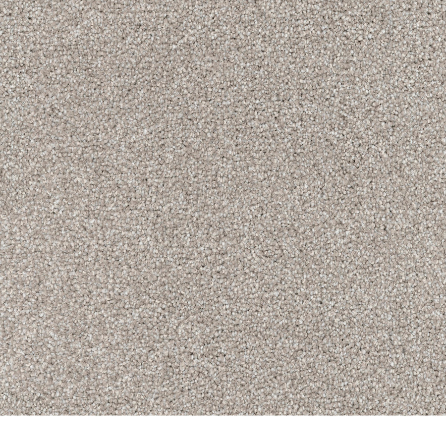 Close-up of Great Dane Pet Friendly Carpet in light beige, featuring a durable, dense looped pile. Its uniform, textured surface is pattern-free and ideal for busy pet-friendly homes.