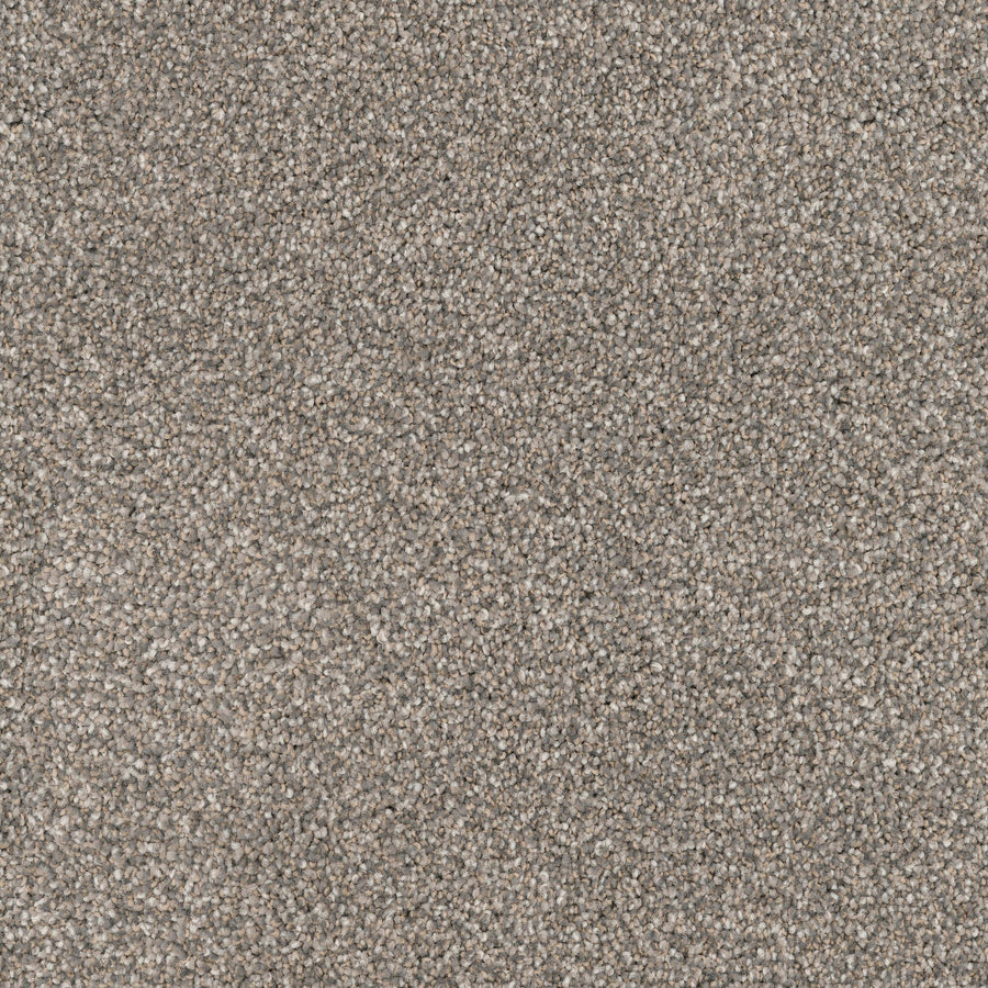Close-up of the Great Dane Pet Friendly Carpet, featuring plush beige and light brown tightly woven fibers for a soft, pet-friendly surface with a speckled look.