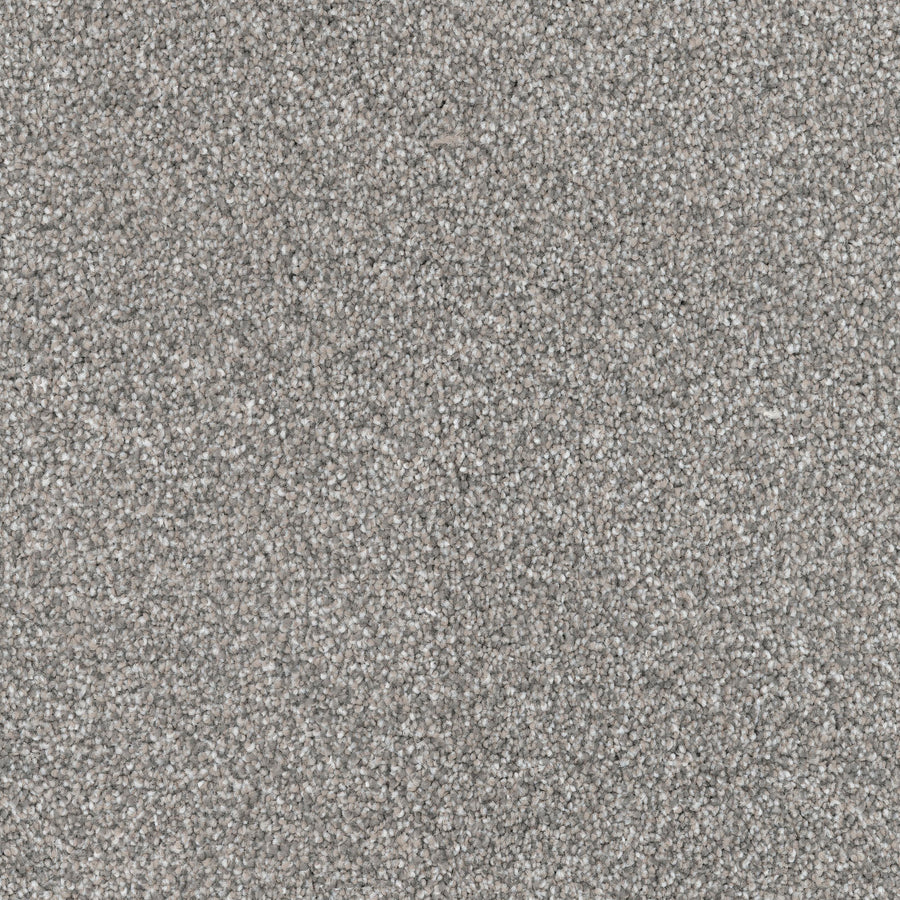Close-up of Great Dane Pet Friendly Carpet, featuring a textured, light gray surface with a tightly looped, uniform pattern. Soft, densely woven, and durable, it offers a modern neutral look that's also ideal for homes with pets.