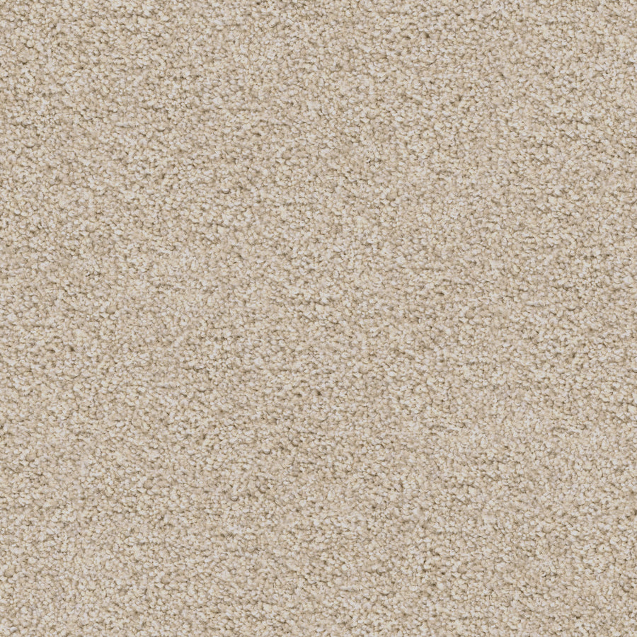 Close-up of the Great Dane Pet Friendly Carpet in beige, showcasing its uniform, soft pile and tightly packed fibers—perfect for comfort and durability in pet-friendly homes.