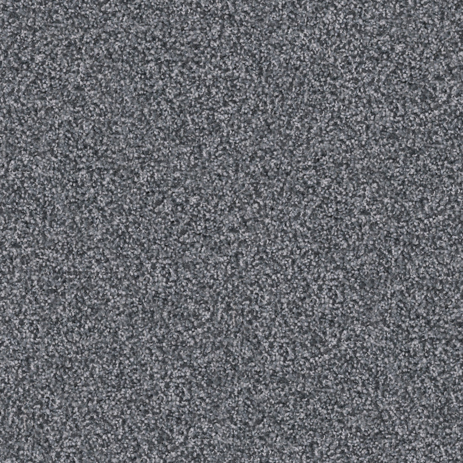Close-up of Great Dane Pet Friendly Carpet, featuring a dense, tightly woven gray texture with a stylish mix of light and dark fibers for a durable, speckled look.