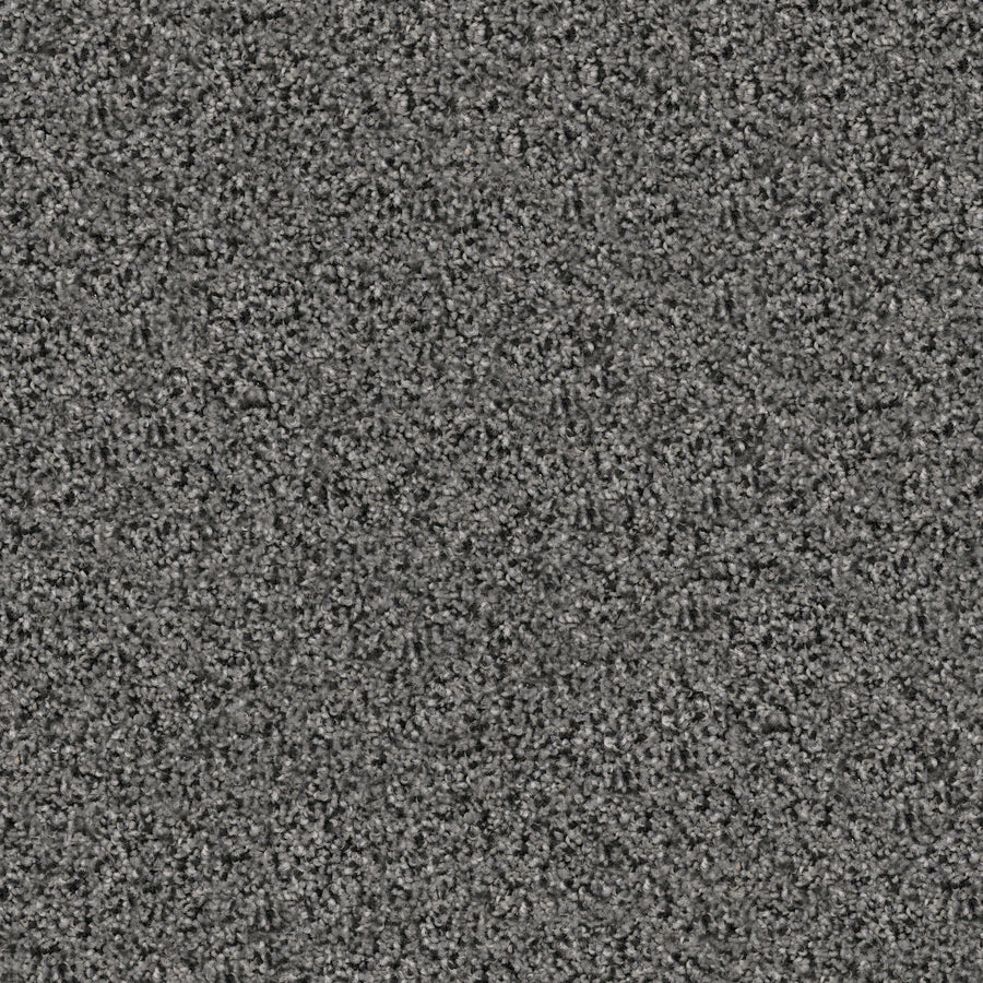 Close-up of the Great Dane Pet Friendly Carpet shows a gray, textured surface with dense, soft pile. The evenly distributed fibers create a plush and uniform look, making it ideal for pet-friendly homes.