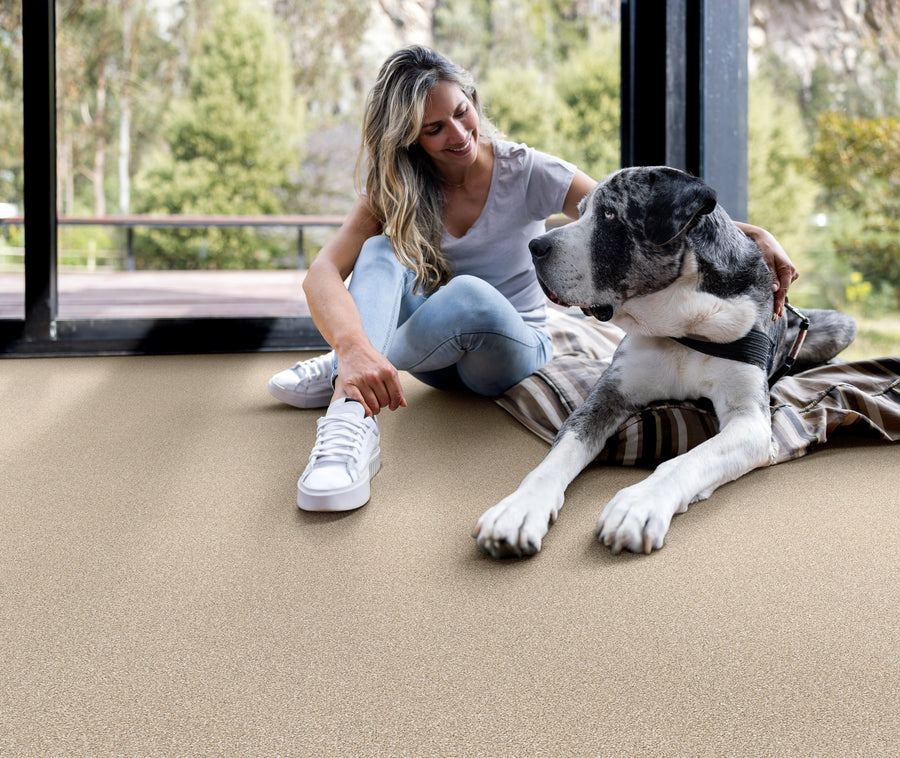 A woman in a white t-shirt and jeans sits on the floor indoors, smiling at a large black and white dog lying beside her on a striped blanket. Trees and greenery are visible outside through large windows.