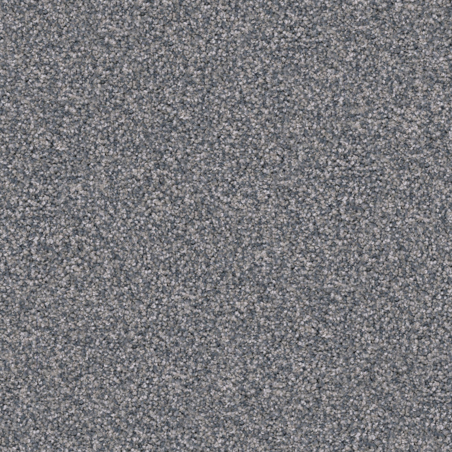 Close-up view of Great Dane Pet Friendly Carpet in gray, featuring a durable, tightly packed looped fiber pattern with subtle flecks of light and dark gray shades throughout.
