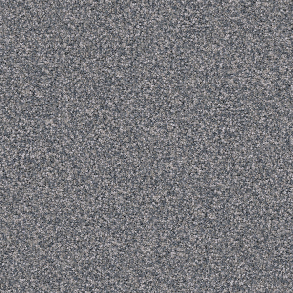 Close-up view of Great Dane Pet Friendly Carpet in gray, featuring a durable, tightly packed looped fiber pattern with subtle flecks of light and dark gray shades throughout.