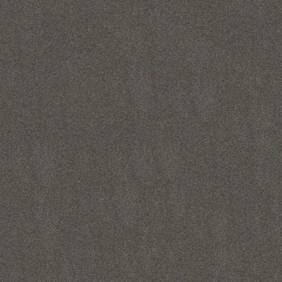 A dark, grainy texture fills the image, resembling television static with a mix of gray and black tones—mirroring the look of Canyon Lake Family Friendly Carpet in Great Falls color. No distinct shapes or objects are visible.
