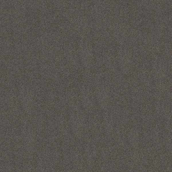 A dark, grainy texture fills the image, resembling television static with a mix of gray and black tones—mirroring the look of Canyon Lake Family Friendly Carpet in Great Falls color. No distinct shapes or objects are visible.