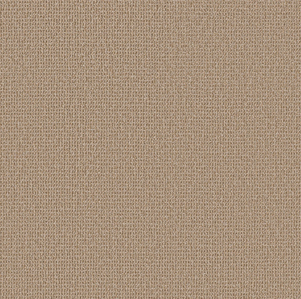 Close-up of Purrfection Beber Carpet in Great Plains, featuring a tightly woven knit and plush texture like luxury carpet. The soft, neutral tan color and consistent stitching highlight its refined quality.