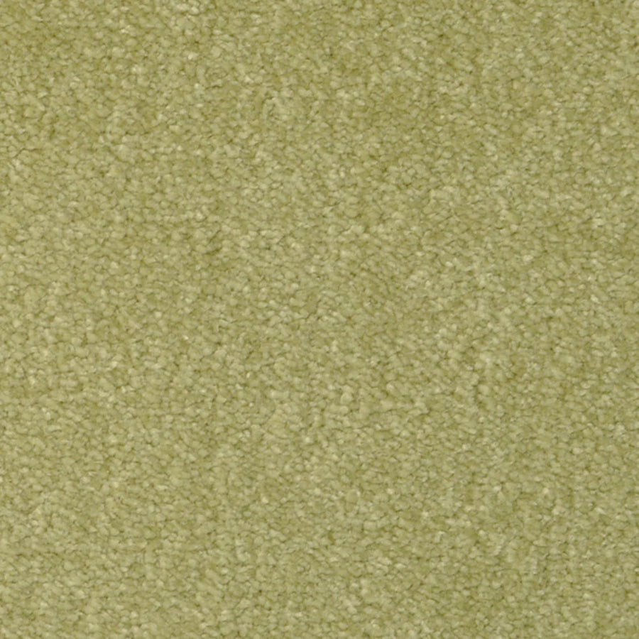 Close-up of Seduction On Trend Carpet in Green Apple, featuring a soft, textured, and slightly fuzzy surface with a dense pattern characteristic of high-quality wall-to-wall carpeting.