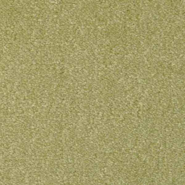 Close-up of Seduction On Trend Carpet in Green Apple, featuring a soft, textured, and slightly fuzzy surface with a dense pattern characteristic of high-quality wall-to-wall carpeting.