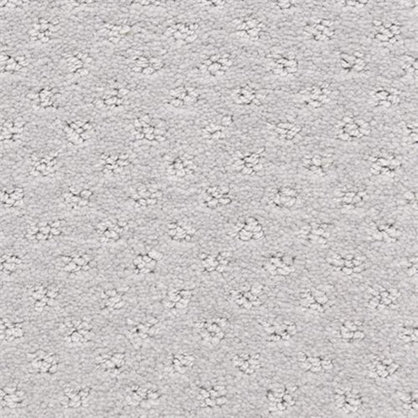 Dreamer On Trend Carpet in Grullo features plush fibers and a subtle dotted pattern of small, evenly spaced tufted clusters that create a soft, textured surface.