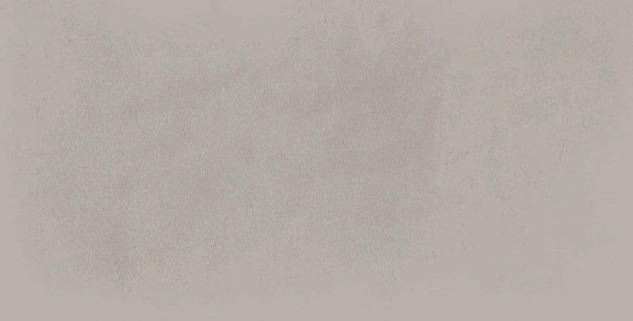 The Harmony 2.5x5 Porcelain Tile features a pale, textured surface with subtle gray and beige speckles, evoking the look of handmade tile for a soft, abstract background.