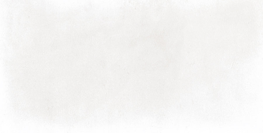 A blank, white textured background with subtle shading variations, resembling the smooth surface of the Harmony 2.5x5 Porcelain Tile.