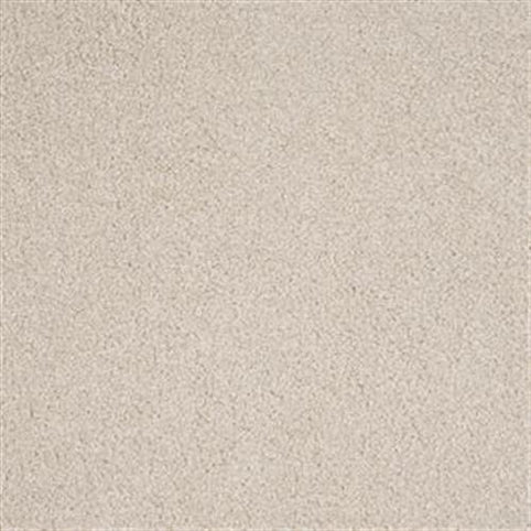 A close-up view of Harbor Town Family Friendly Carpet in Habitat color, featuring a soft, textured surface, uniform look, and durable design ideal for families.