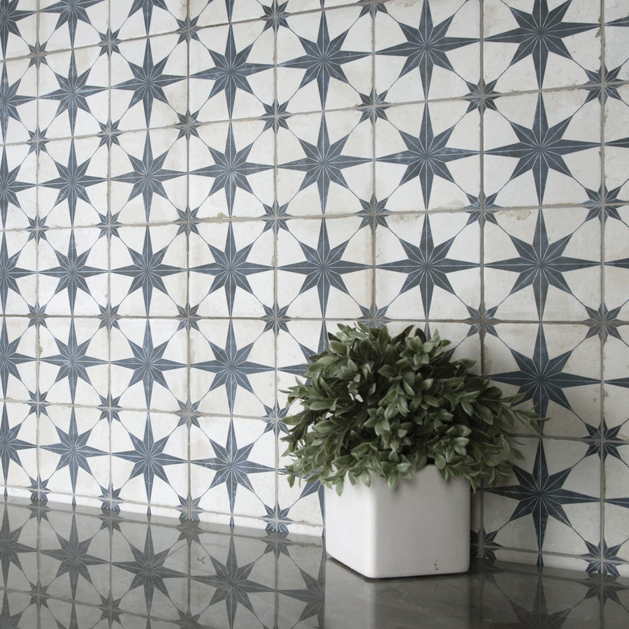 A small green plant in a white square pot sits on a gray reflective surface in front of a wall with a repeating blue and white star pattern tile design.