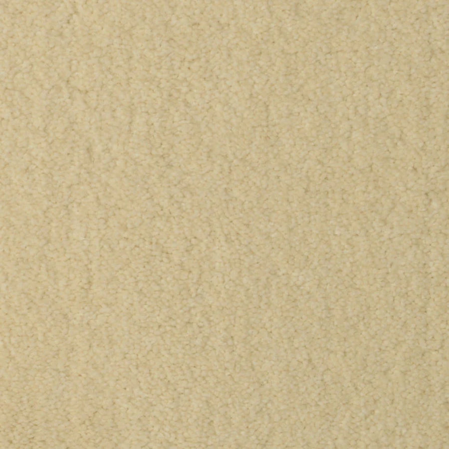 Close-up view of Seduction On Trend Carpet in Harmonic White, showcasing its soft, slightly fuzzy texture—an ideal combination of comfort and elegance for any space.