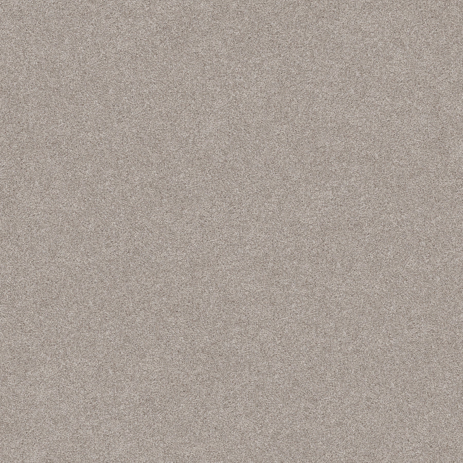A close-up of Harmonious II Pet Friendly Carpet in Baltic Stone shows a fine, grainy surface with a slightly rough texture, resembling stylish, light beige sand—offering both durability and lasting appeal.