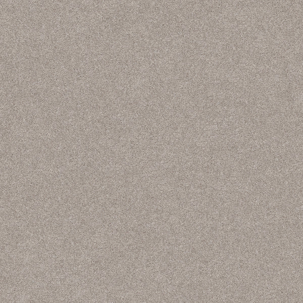 A close-up of Harmonious II Pet Friendly Carpet in Baltic Stone shows a fine, grainy surface with a slightly rough texture, resembling stylish, light beige sand—offering both durability and lasting appeal.