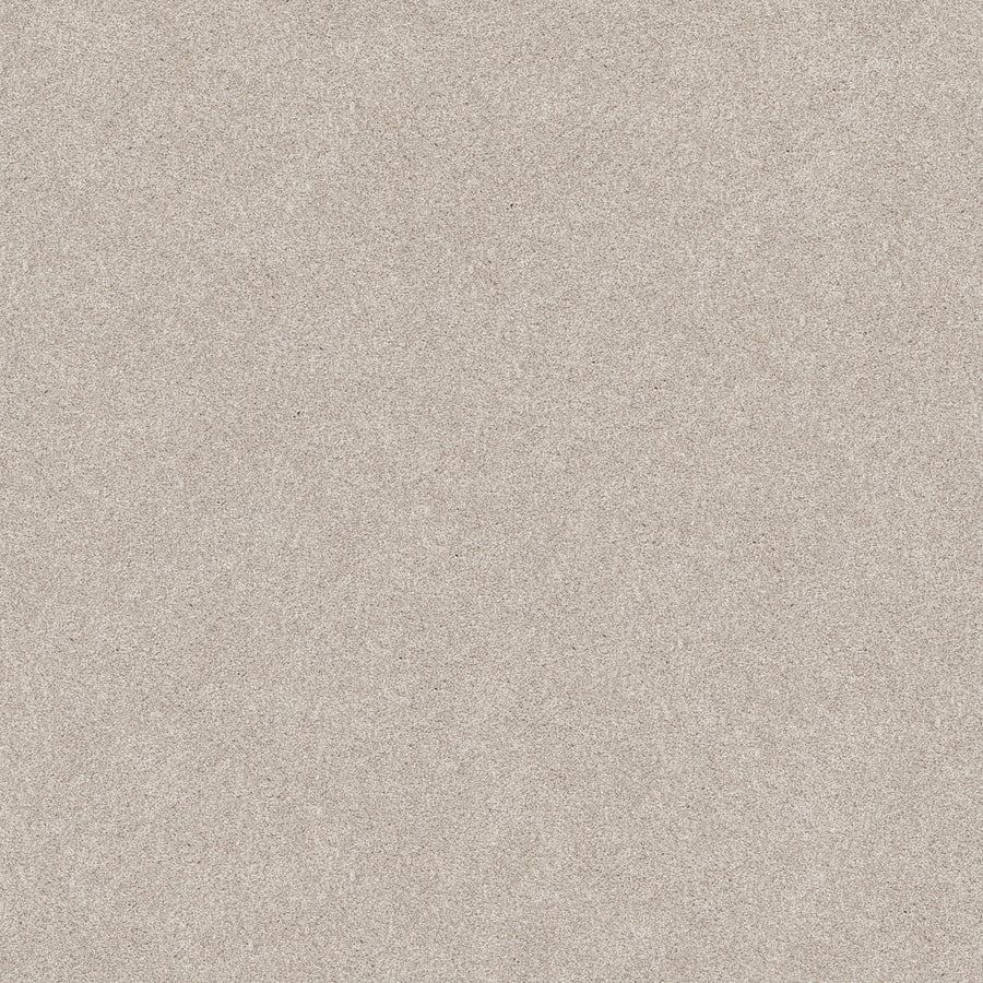 A close-up of the Harmonious II Pet Friendly Carpet in Gallery displays its flat, light beige surface with fine, even grains, capturing the smooth and uniform texture typical of this durable carpet.