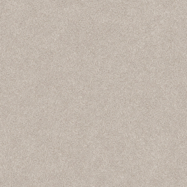 A close-up of the Harmonious II Pet Friendly Carpet in Gallery displays its flat, light beige surface with fine, even grains, capturing the smooth and uniform texture typical of this durable carpet.