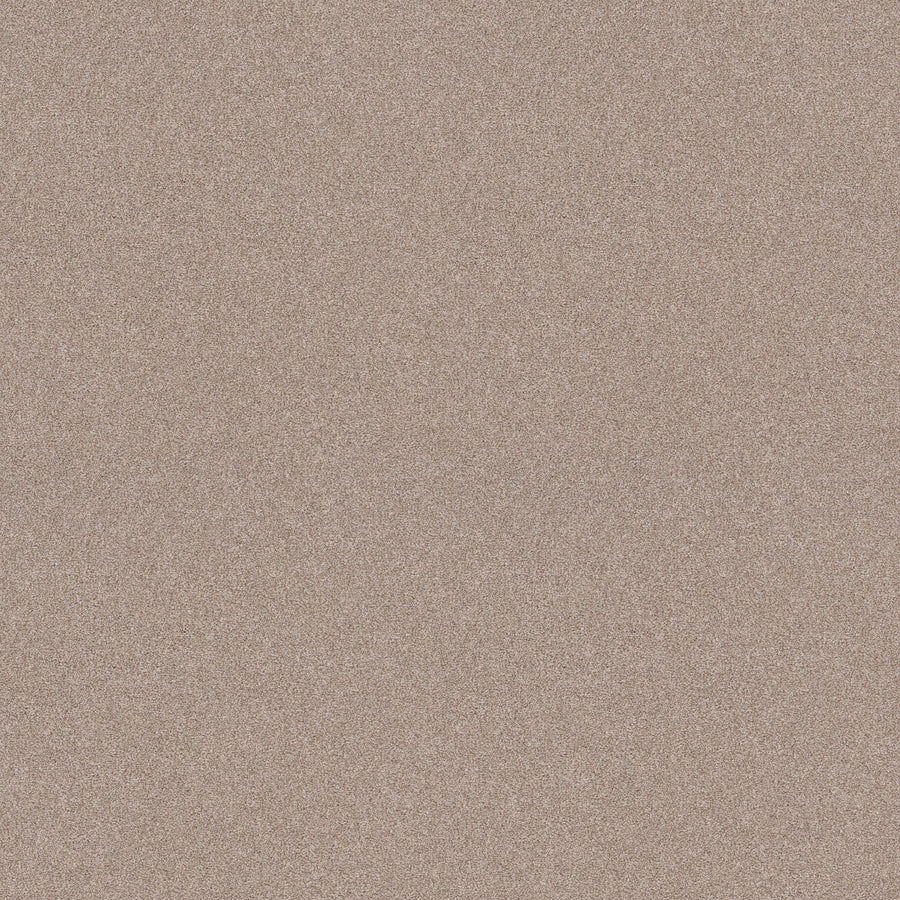 A close-up of the Harmonious II Pet Friendly Carpet in Heirloom color reveals a durable, stain resistant, finely speckled light brown surface.