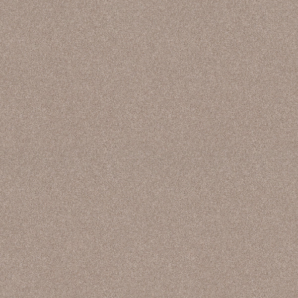 A close-up of the Harmonious II Pet Friendly Carpet in Heirloom color reveals a durable, stain resistant, finely speckled light brown surface.