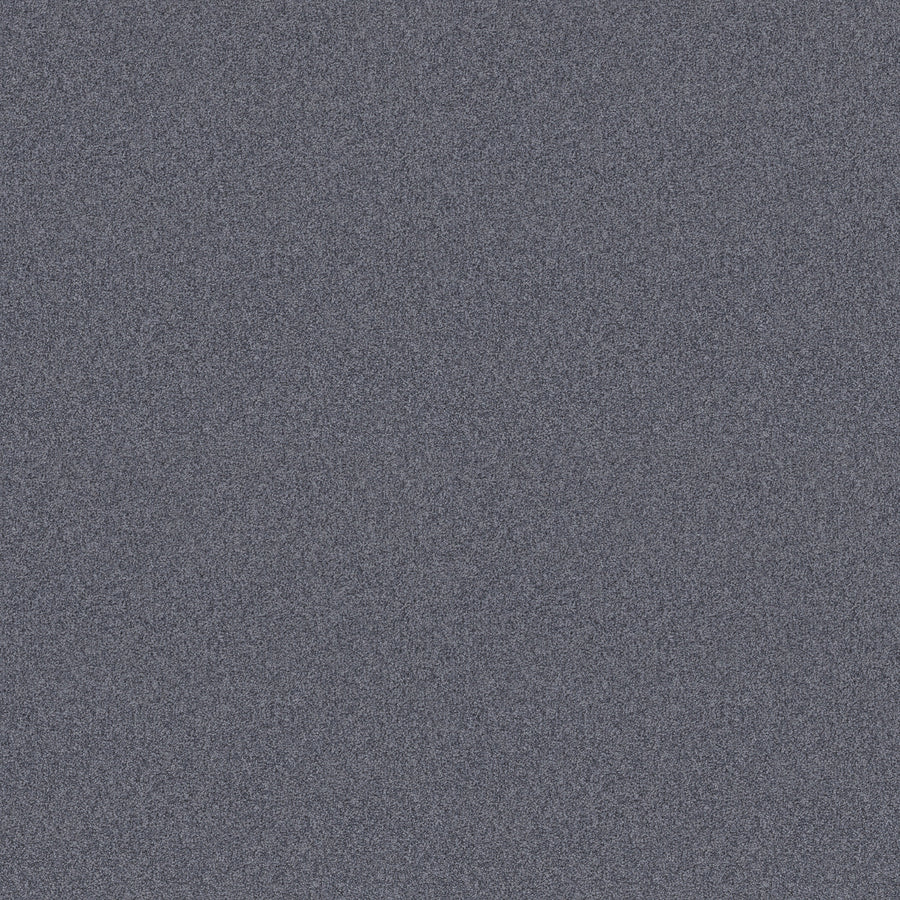Harmonious II Pet Friendly Carpet in Indigo Ink features a dense pattern of gray and blue flecks, creating a grainy, static-like look. It's durable and perfect for high-traffic or pet-friendly spaces.