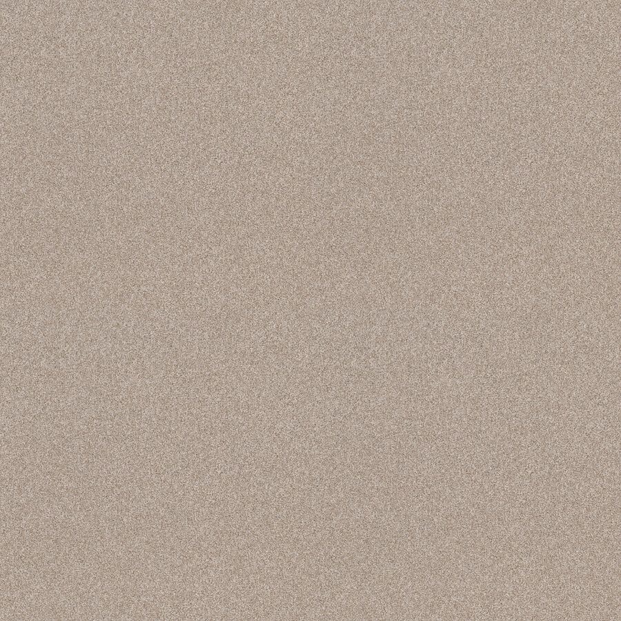 A close-up of Harmonious II Pet Friendly Carpet in Sandstone shows a fine, grainy texture in light brown and beige, blending durability with a soft, resilient feel.