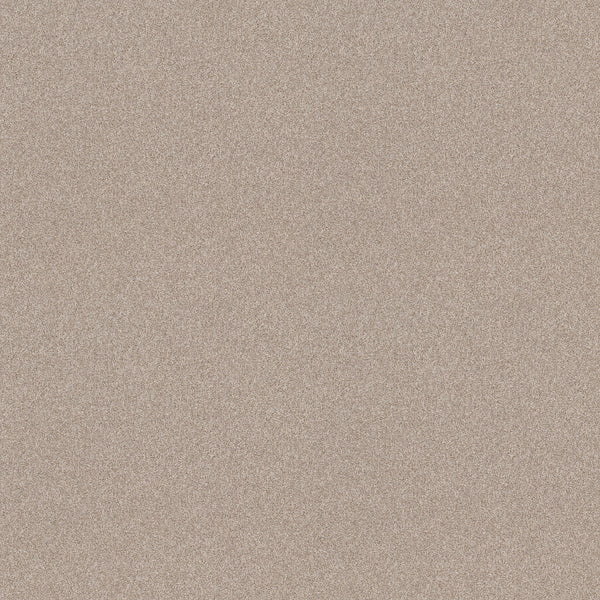 A close-up of Harmonious II Pet Friendly Carpet in Sandstone shows a fine, grainy texture in light brown and beige, blending durability with a soft, resilient feel.