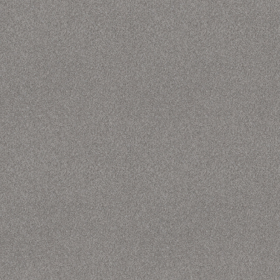 The Harmonious II Pet Friendly Carpet in Sentimental features a fine, grainy gray static noise pattern—resembling digital screen static—with stain resistance, durable construction, and design ideal for pet friendly environments.