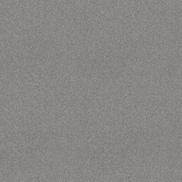 The Harmonious II Pet Friendly Carpet in Sentimental features a fine, grainy gray static noise pattern—resembling digital screen static—with stain resistance, durable construction, and design ideal for pet friendly environments.
