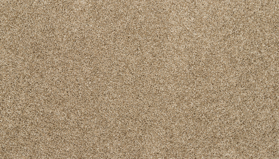A close-up of the Furocious I Pet Friendly Carpet highlights its plush texture, ideal for pet-friendly homes and modern interiors.