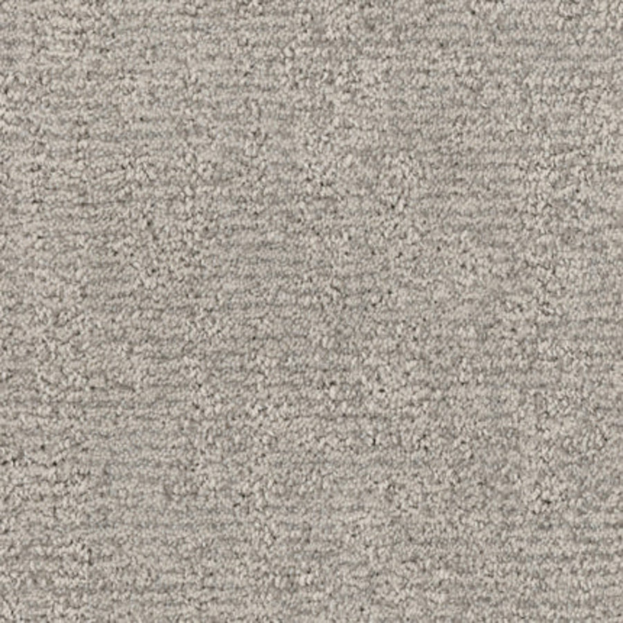 Close-up view of Balance Family Friendly Carpet in Harmony, featuring a soft, lightly patterned surface with dense, evenly distributed fibers. Stylish and stain resistant, this carpet offers a subtle, uniform look perfect for family spaces.