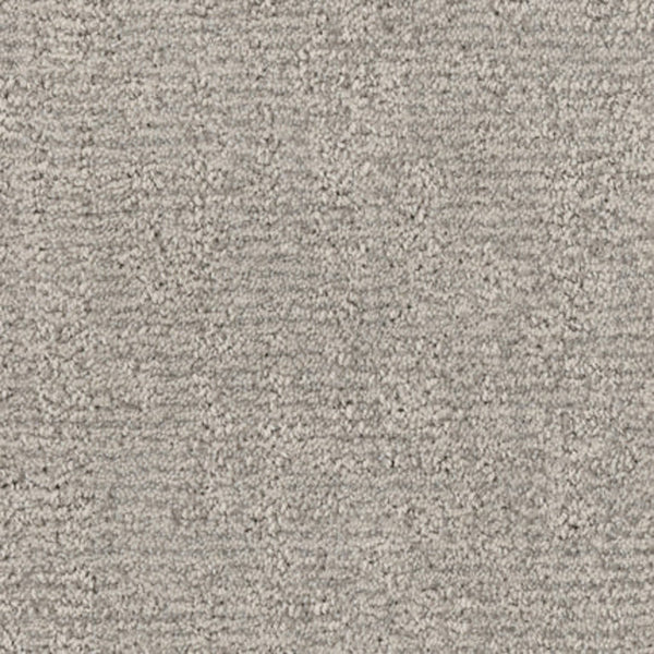 Close-up view of Balance Family Friendly Carpet in Harmony, featuring a soft, lightly patterned surface with dense, evenly distributed fibers. Stylish and stain resistant, this carpet offers a subtle, uniform look perfect for family spaces.
