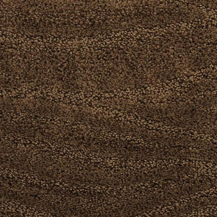 Close-up of Taittinger On Trend Carpet in Hasbrouck, featuring a dense, looped pile and subtle color variations for a soft, cozy look—ideal as a durable carpet for high-traffic areas.