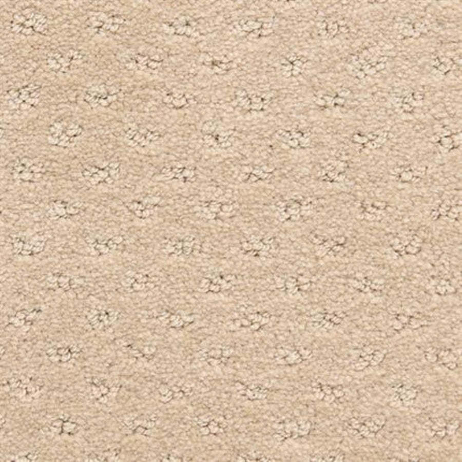 Close-up of Dreamer On Trend Carpet in Hazel, showing plush beige fibers with a subtle dotted pattern and small raised loops evenly distributed across this durable, luxurious flooring.