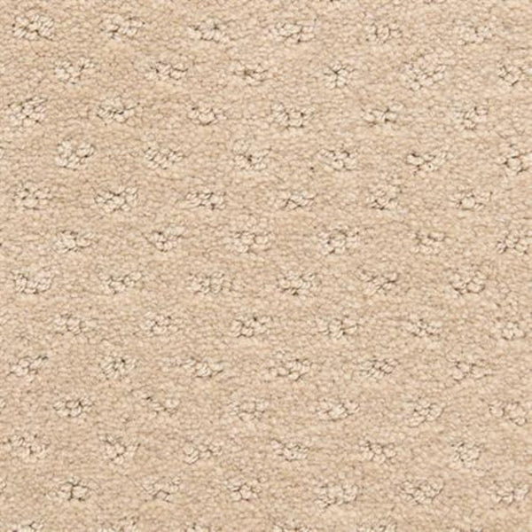 Close-up of Dreamer On Trend Carpet in Hazel, showing plush beige fibers with a subtle dotted pattern and small raised loops evenly distributed across this durable, luxurious flooring.